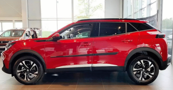 Riderauto Lišty dverí - Peugeot 2008  2019- - Image 2